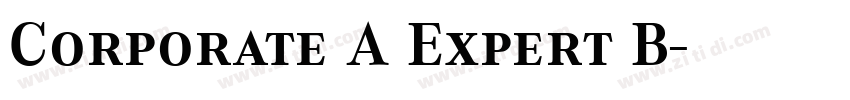 Corporate A Expert B字体转换